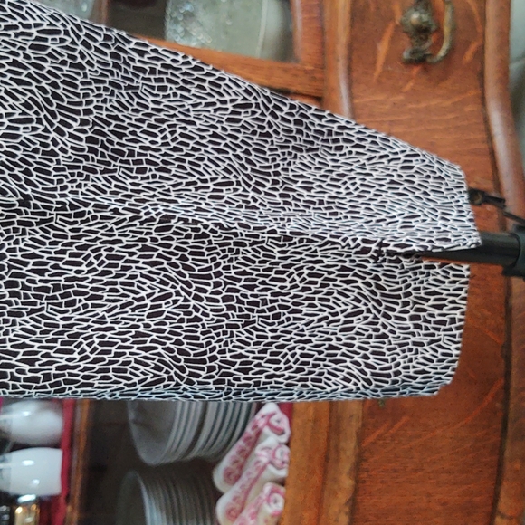 Coldwater Creek Capri Pants with Vented Hem, Hidden Hook Close 4 - Picture 10 of 14